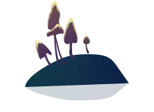 mushroom drawing